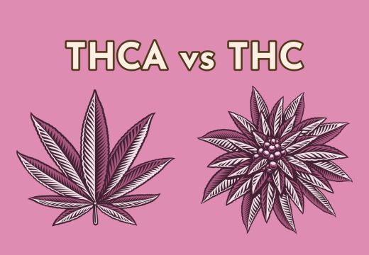 Understanding THCA vs THC
