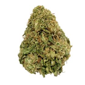 Acapulco Gold Flower - Sativa - THCA