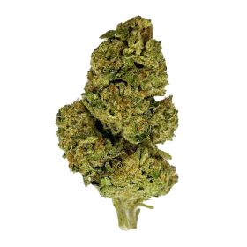 PBJ Flower - Hybrid - THCA