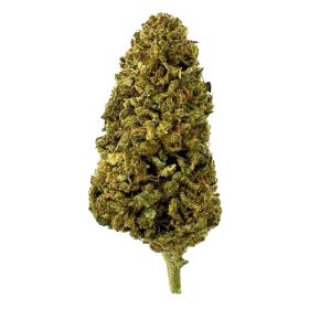 Illuminati Flower - Hybrid - THCA