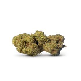 Gelato 41 Flower - Hybrid - THCA