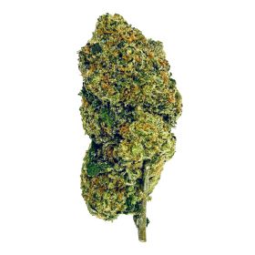 Melon Flower - Hybrid - THCA