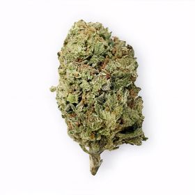 Head Band Flower - Hybrid - THCA