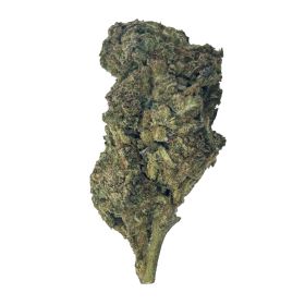 Gusher Cake Flower - Hybrid - THCA