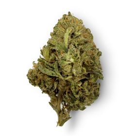 Red Congolese Flower - Sativa - THCA