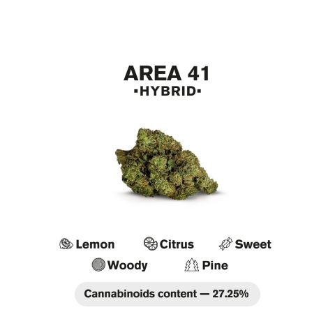 Area 41 King Size Pre-Roll - Hybrid - 1.5g - 1 Joint - THCA - Thumbnail 5