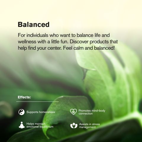 Area 41 King Size Pre-Roll - Hybrid - 1.5g - 1 Joint - THCA - Thumbnail 8