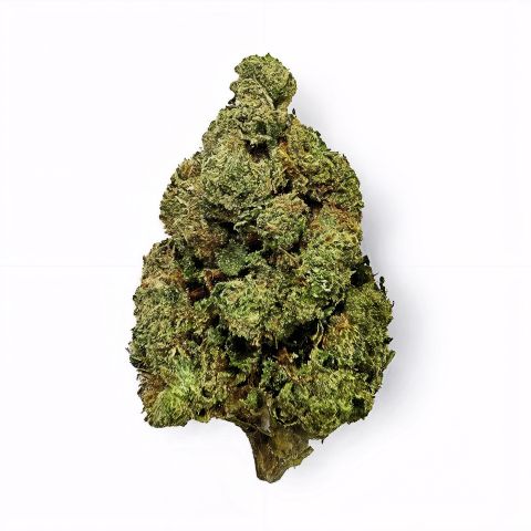 Area 41 Flower - Hybrid - THCA - Thumbnail 1