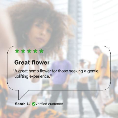 Area 41 Mini Pre-Roll - Hybrid - 0.5g - THCA - 5 Joints - Thumbnail 10