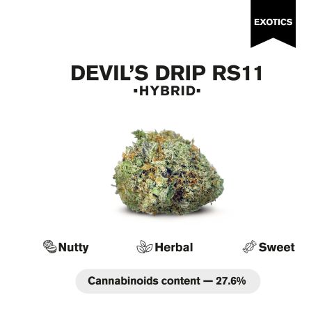 Devil's Drip Flower - Hybrid - THCA - Thumbnail 4