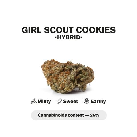 Girl Scout Cookies King Size Pre-Roll - Indica - 1.5g - THCA - 1 Joint - Thumbnail 5