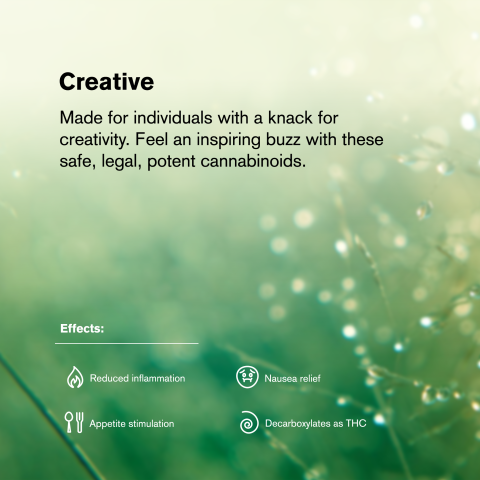 Girl Scout Cookies King Size Pre-Roll - Indica - 1.5g - THCA - 1 Joint - Thumbnail 8