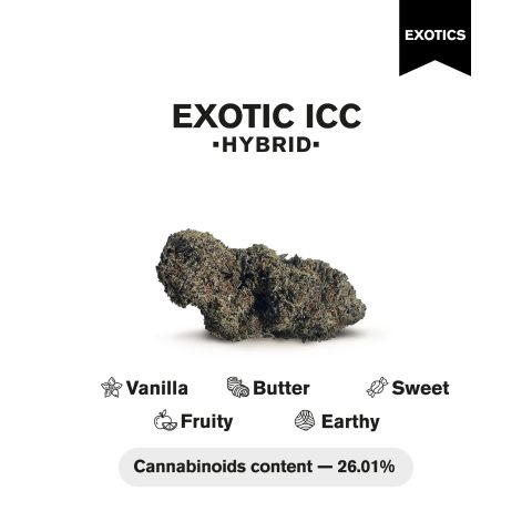Exotic ICC Flower - Indica - THCA - Thumbnail 4