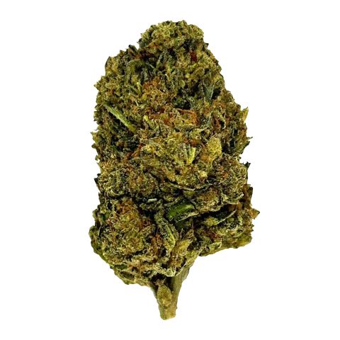 OG Plus (O+) Flower - Hybrid - THCA - Thumbnail 1