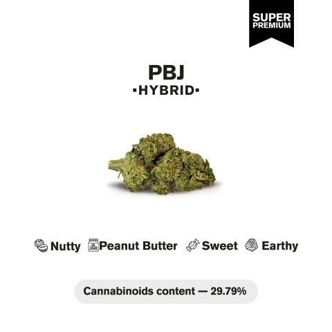 PBJ Flower - Hybrid - THCA - Thumbnail 4