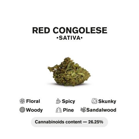 Red Congolese Mini Pre-Roll - Sativa - 0.5g - THCA - 5 Joints - Thumbnail 5
