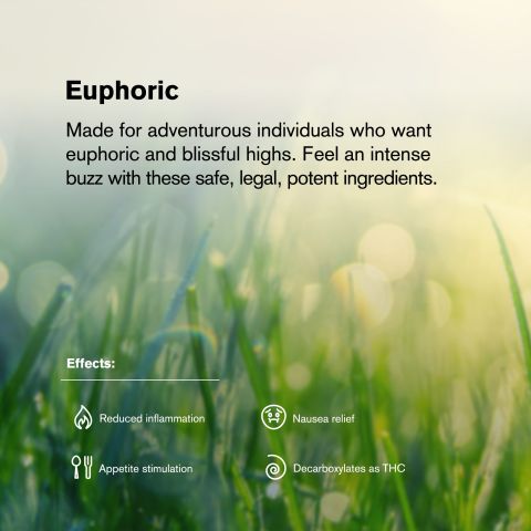 Super Lemon Haze King Size Pre-Roll - Sativa - 1.5g - 1 Joint - THCA - Thumbnail 8