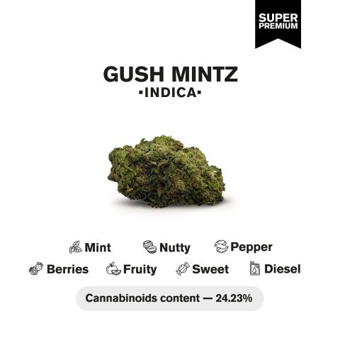 Gush Mintz Flower - Indica - THCA - Thumbnail 4