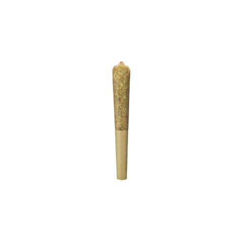 Master Kush Mini Pre-Roll - Indica - 0.5g - THCA - 5 Joints - Thumbnail 1