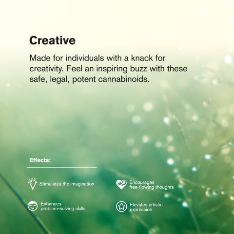 Melonatta Flower - Hybrid - THCA - Thumbnail 6