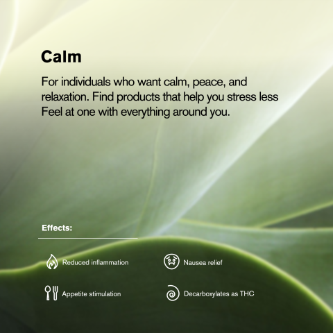 Zkittlez Mini Pre-Roll - Indica - 0.5g - THCA - 5 Joints - Thumbnail 9