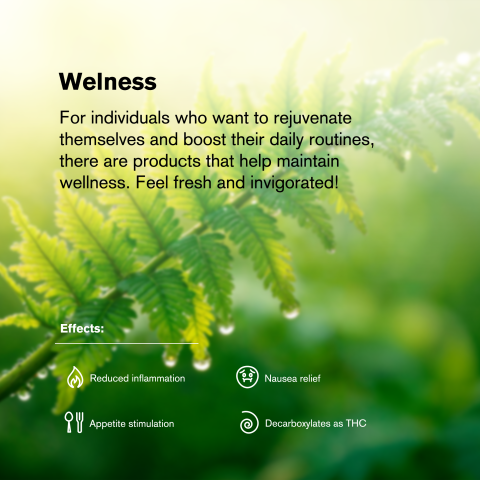 Blueberry King Size Pre-Roll - Indica - 1.5g - THCA - 1 Joint - Thumbnail 8