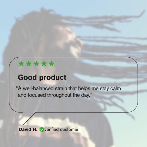 Diablo Flower - Sativa - THCA - Thumbnail 7