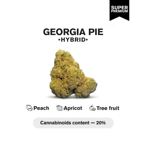 Georgia Pie Flower - Hybrid - THCA - Thumbnail 3