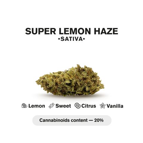 Super Lemon Haze King Size Pre-Roll - Sativa - 1.5g - THCA - 5 Joints - Thumbnail 5