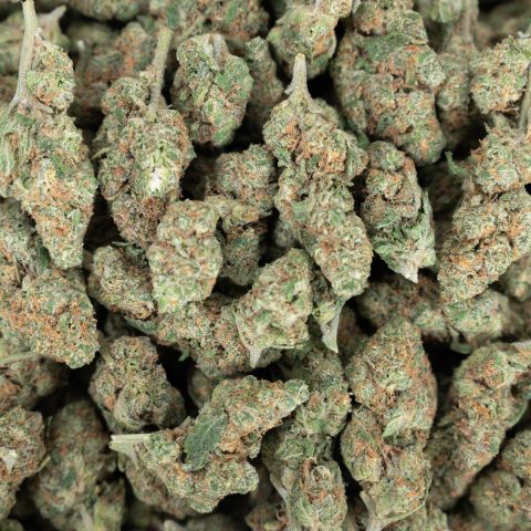 Blue Satellite Flower - Sativa - THCA - Thumbnail 3