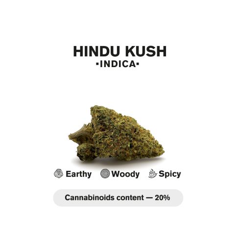 Hindu Kush Mini Pre-Roll - Hindu Kush Strain - 0.5g - THCA - 5 Joints - Thumbnail 5