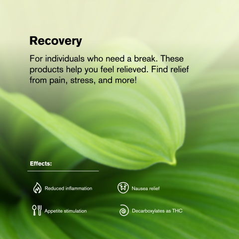 Hindu Kush Mini Pre-Roll - Hindu Kush Strain - 0.5g - THCA - 5 Joints - Thumbnail 9