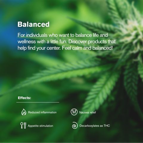 Hybrid Blend Trim Flower - Hybrid - THCA - Thumbnail 5