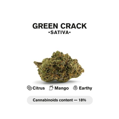 Green Crack King Size Pre-Roll - Sativa - 1.5g - 1 Joint - THCA - Thumbnail 5