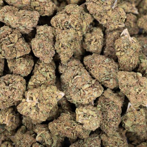 Pink Rozay Flower - Indica - THCA - Thumbnail 3