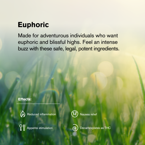 Gelato #33 King Size Pre-Roll - Gelato #33 Strain - 1.5g - THCA - 5 Joints - Thumbnail 9