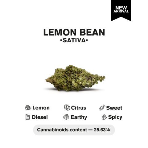 Lemon Bean Flower - Sativa - THCA - Thumbnail 4