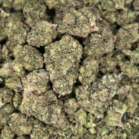 Jungle Juice Flower - Hybrid - THCA - Thumbnail 3