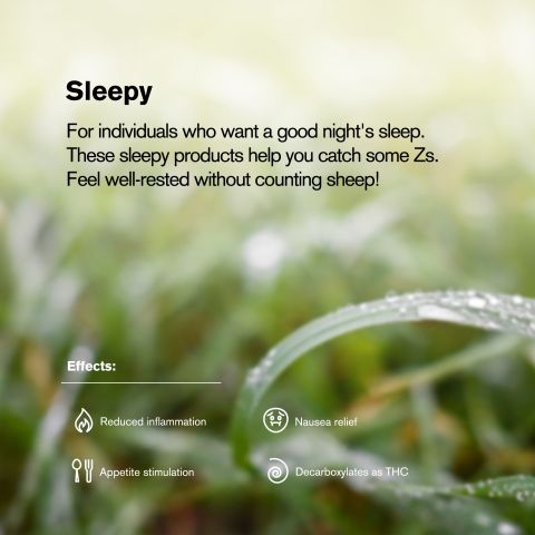 GrandDaddy Purp King Size Pre-Roll - Indica - 1.5g - 1 Joint - THCA - Thumbnail 8