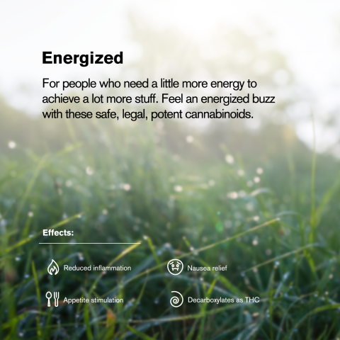 Lemon Skunk King Size Pre-Roll - Hybrid - 1.5g - THCA - 5 Joints - Thumbnail 9