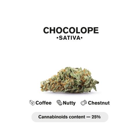 Chocolope King Size Pre-Roll - Sativa - 1.5g - THCA - 5 Joints - Thumbnail 5