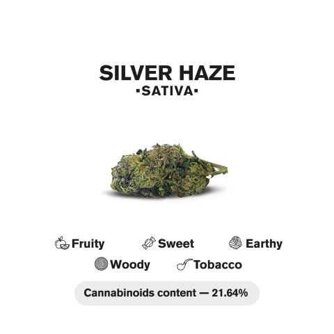 Silver Haze King Size Pre-Roll - Sativa - 1.5g - 1 Joint - THCA - Thumbnail 5