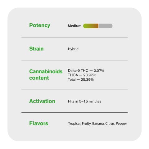 Banana Flower - Hybrid - THCA - Thumbnail 6