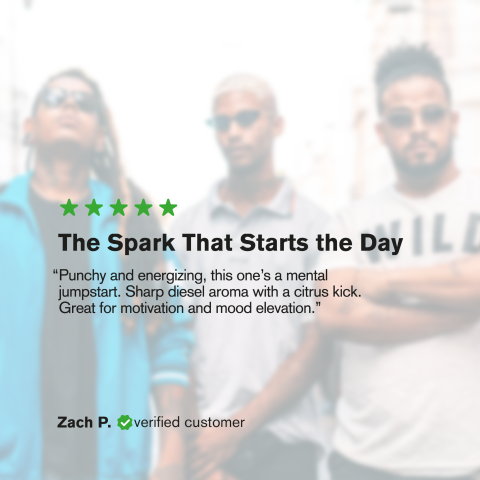 Sour Diesel King Size Pre-Roll - Sativa - 1.5g - 1 Joint - THCA - Thumbnail 9