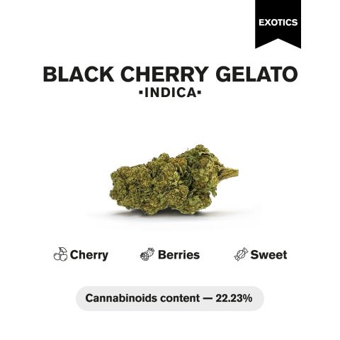 Black Cherry Gelato Flower - Indica - THCA - Thumbnail 5