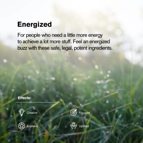 Black Cherry Soda Flower - Hybrid - THCA - Thumbnail 5