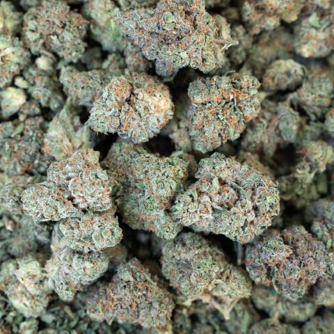 Italian Ice Flower - Hybrid - THCA - Thumbnail 3