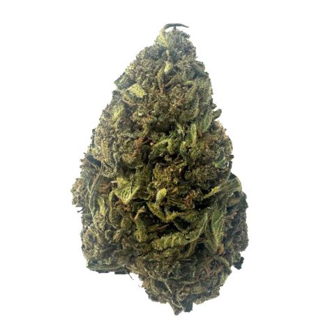 Purple Star Diesel Flower - Hybrid - THCA - Thumbnail 1