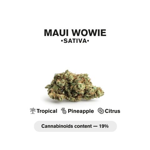 Maui Wowie King Size Pre-Roll - Sativa - 1.5g - THCA - 5 Joints - Thumbnail 5