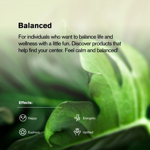 Wonder Bread Flower - Hybrid - THCA - Thumbnail 5